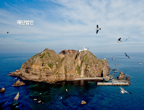 포트폴리오
